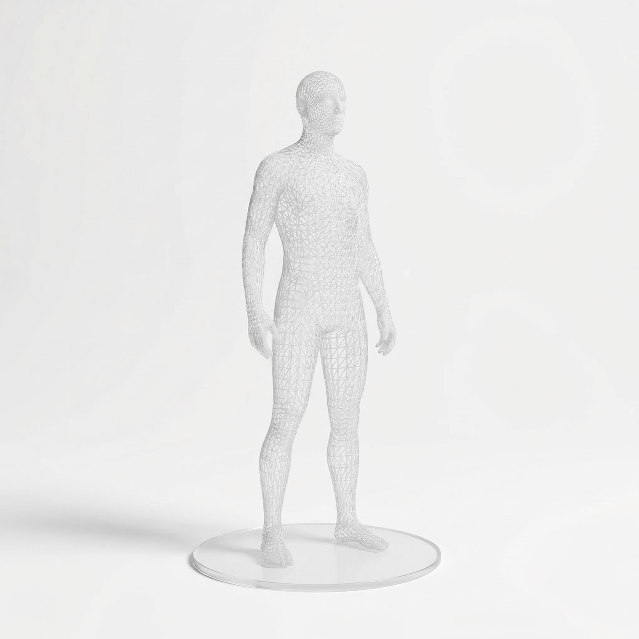 Custom Figurine